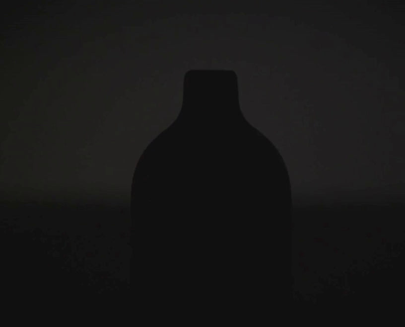 Carica video: