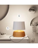 TABLE LAMP S COPPA CONFIG IT 388