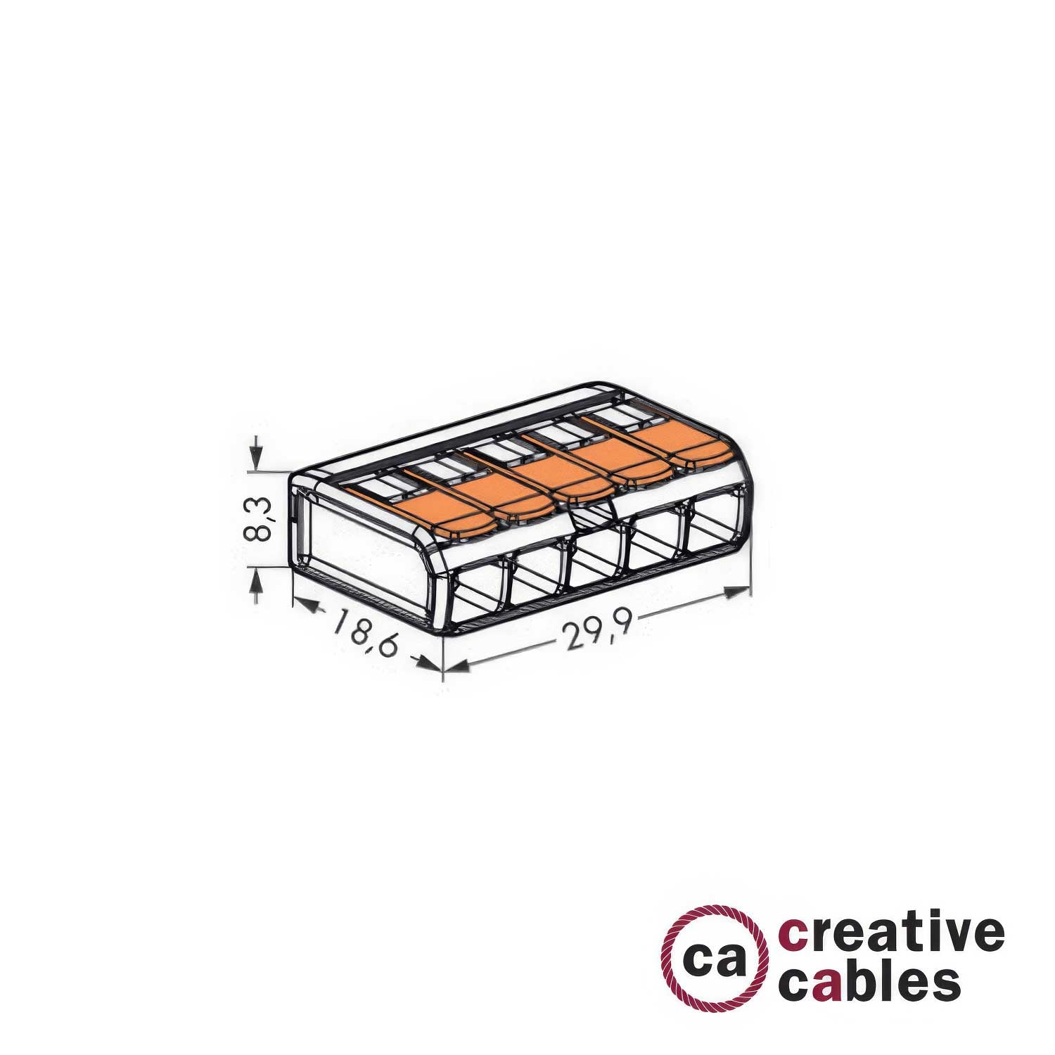 Morsetto universale 5 Ingressi Trasparente