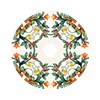Maiolica Rosso - Verde